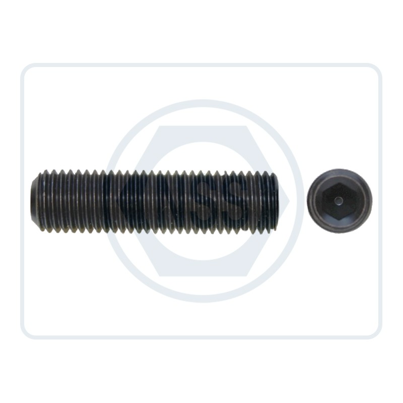 Grub Screws