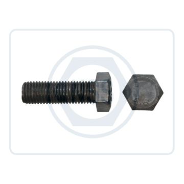 DIN558_MS_Hex_Set_Screw_PLN