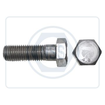 DIN601_MS_Hex_Bolt_PLN