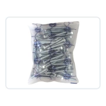 P100_DIN571_Coach_Screw_ZP